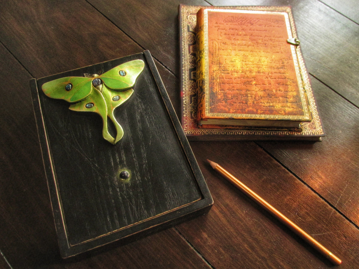 Luna Moth Box