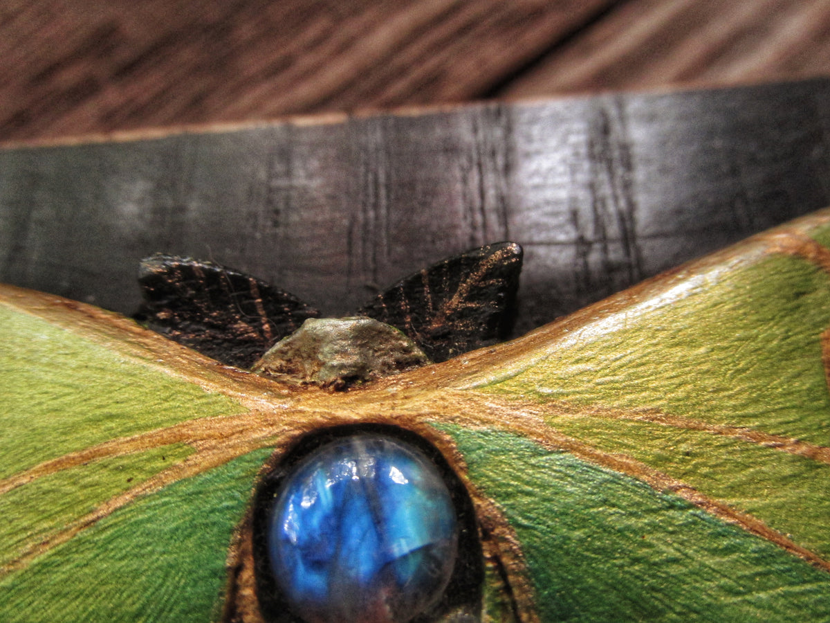 Luna Moth Box